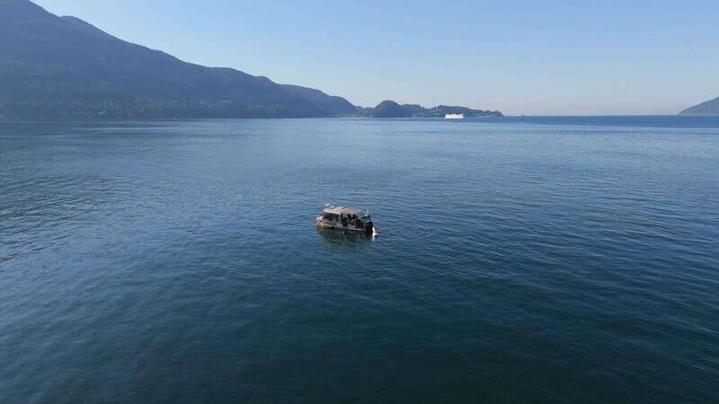 Vancouver: Snorkeling Seals Kayaking Scenic Boat Tour - Practical Tips: What to Bring and How to Feel Ready