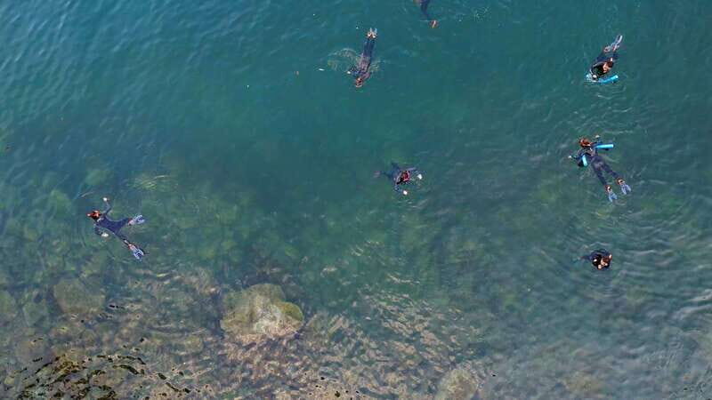 Vancouver: Snorkeling Seals Kayaking Scenic Boat Tour - Who This Tour Is Best For (and Who Might Want to Skip)