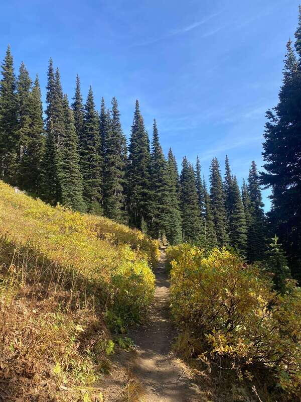 Vancouver/Squamish: Garibaldi Park Panorama Ridge Hike - When the terrain gets rocky: handrails, footholds, and smart footing