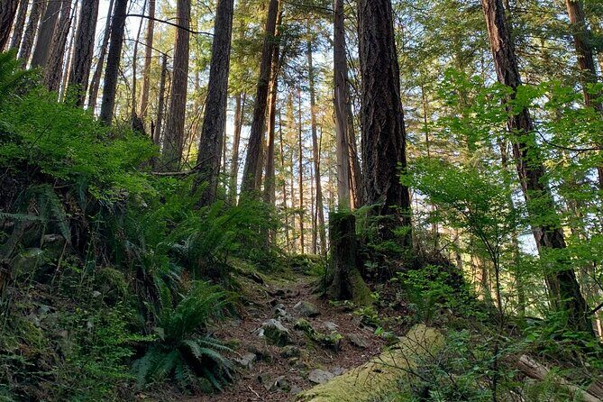 Vancouver Stanley Park 3 Hour Bike Tour - Lord Stanley Monument: Quick Welcome, No Big Detour