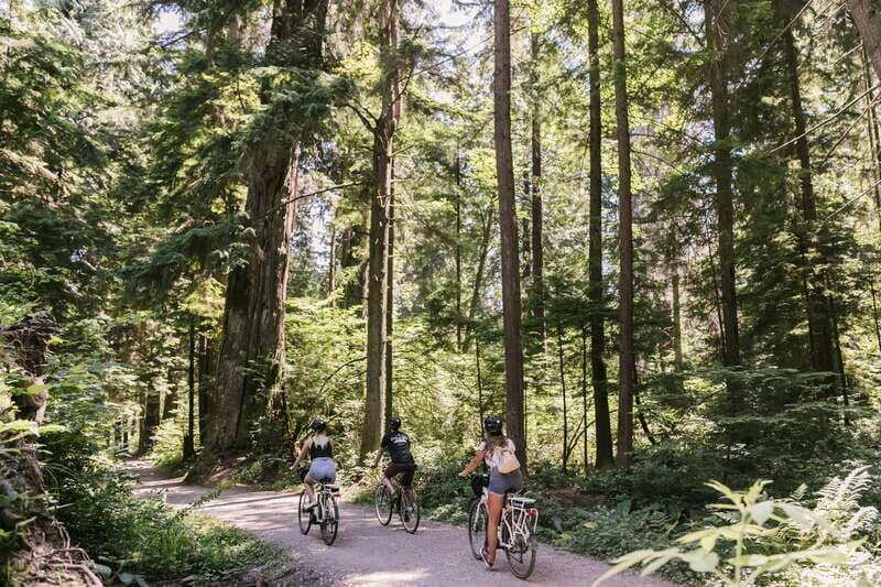 Vancouver: Stanley Park Bicycle Tour - Stanley Park at a leisure pace: how the route actually feels