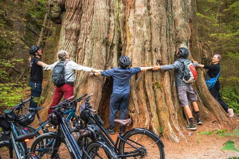 Vancouver: Stanley Park Bicycle Tour - Rainforest trails, old growth trees, and the feel-good parts people remember