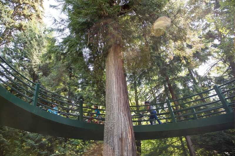 Vancouver: Stanley Park Bicycle Tour - Totem poles, Girl in a Wetsuit, and the stories that make landmarks stick