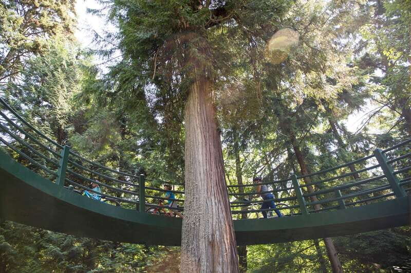 Vancouver: Stanley Park Bicycle Tour - Meet on Hornby Street, get fitted, and get moving (quickly)