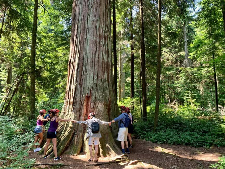 Vancouver: Stanley Park Bike Tour | E-Bike Upgrade Avail. - Totem Poles: Short Stop, Big Meaning