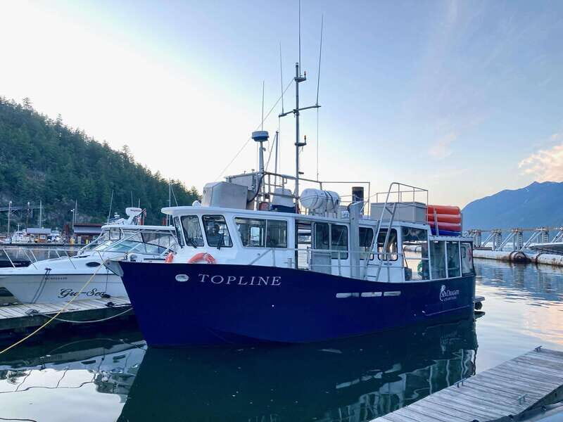 Vancouver: Sunset Boat Cruise with Complementary Bubbly - Why a Howe Sound sunset beats the usual Vancouver routine