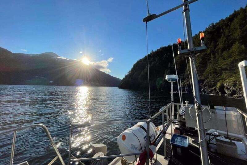Vancouver: Sunset Boat Cruise with Complementary Bubbly - Price and value: $80 for a guided sunset with bubbly