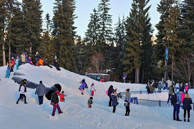 Vancouver to Whistler Private Tour - Stop 2: Shannon Falls Provincial Park viewpoint hike