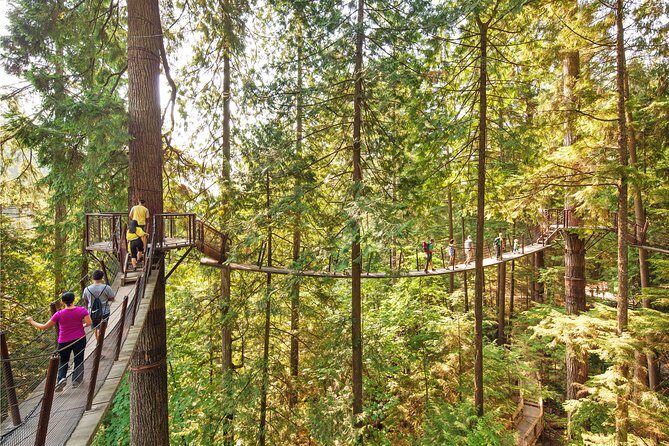 Vancouver Tour: Stanley Park, Granville Island & Capilano Bridge - Granville Island: Browsing Time at the Local Market Beat