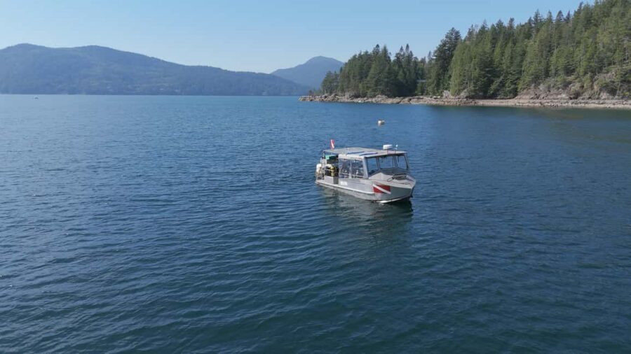 Vancouver UNESCO Biosphere Reserve Wildlife Scenic Boat Tour - Key Highlights You’ll Care About