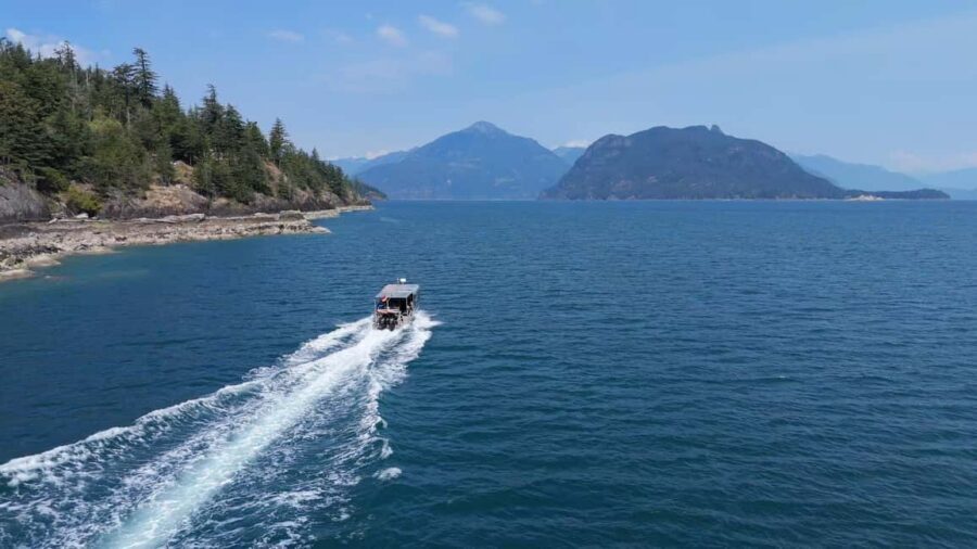 Vancouver UNESCO Biosphere Reserve Wildlife Scenic Boat Tour - Howe Sound UNESCO Biosphere Cruise: What You’re Actually Chasing