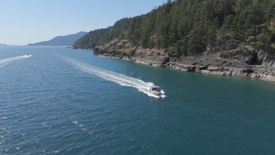 Vancouver UNESCO Biosphere Reserve Wildlife Scenic Boat Tour - What You Get Onboard: Snacks and English Guide Commentary