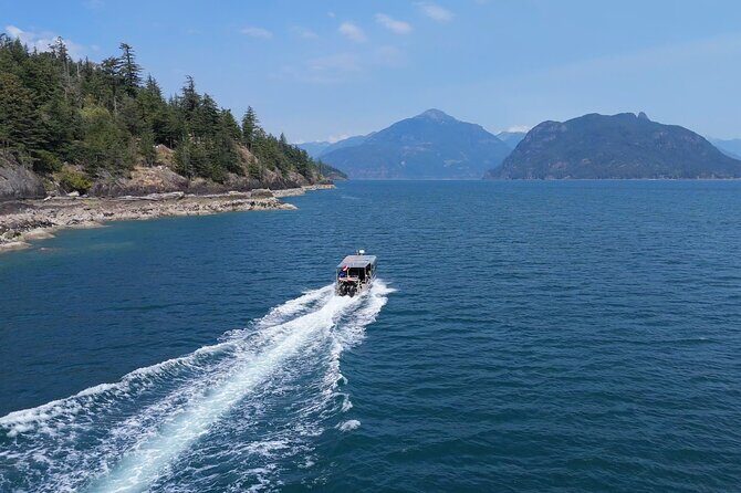 Vancouver UNESCO Biosphere Reserve Wildlife Scenic Boat Tour - Price and Value: Is $89.62 Worth Two Hours of Wildlife Time?