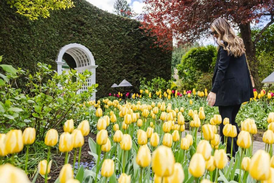 Vancouver: Victoria Day Trip by Seaplane & Butchart Gardens - The 45-minute coach ride to Butchart Gardens (and why it works)