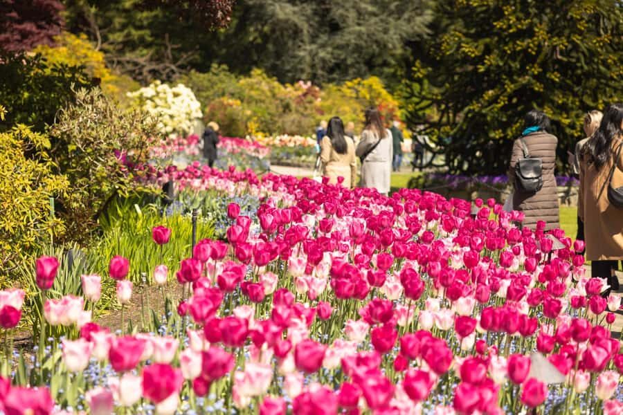 Vancouver: Victoria Day Trip by Seaplane & Butchart Gardens - Downtown Victoria time: how to use your free hours without burning them