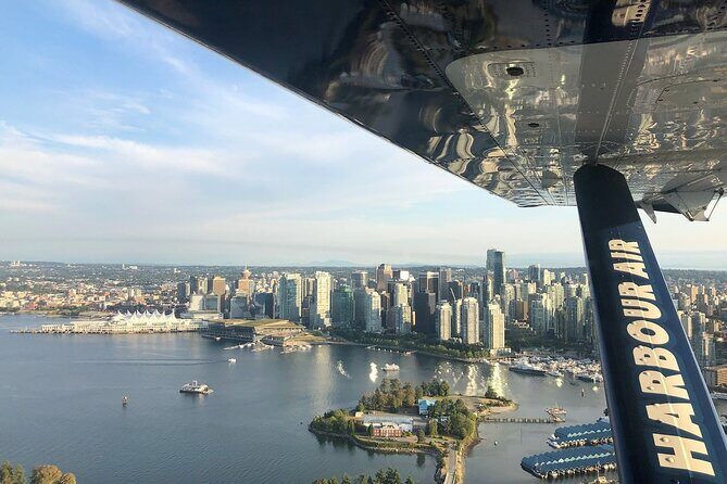 Vancouver-Victoria Day Trip by Seaplane + Whale Watching by Boat - What orcas and humpbacks feel like when you’re actually out there