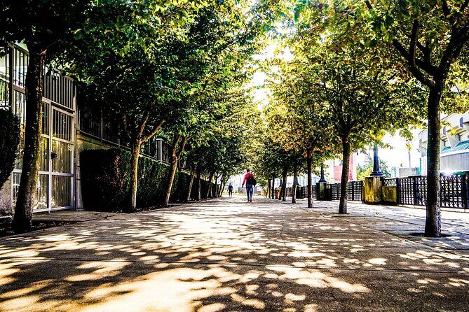 Vancouver Walking Tour: Explore Top Sights & Hidden Gems - Key highlights you’ll feel right away