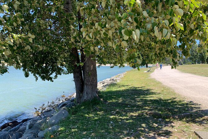 Vancouver Waterfront Guided Bike / Ebike Tour - Stop 1: Stanley Park for Big Views and a Proper Waterfront Loop