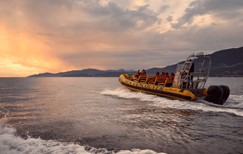Vancouver: Waterfront Sightseeing Tour - City and Nature - Lighthouse Park (Point Atkinson) and Grebe Islets: The Wildlife Moment