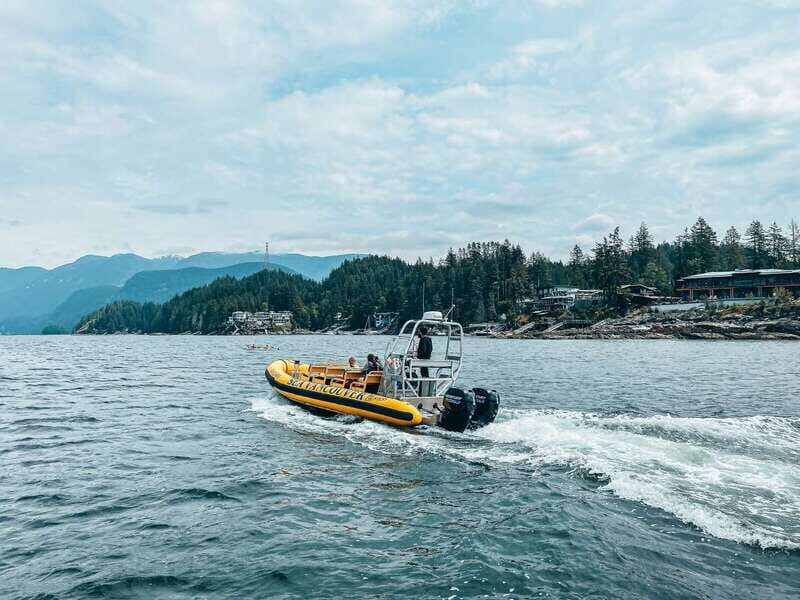 Vancouver: Waterfront Sightseeing Tour - City and Nature - Granville Island Start: Meeting Point, Equipment, and Pace