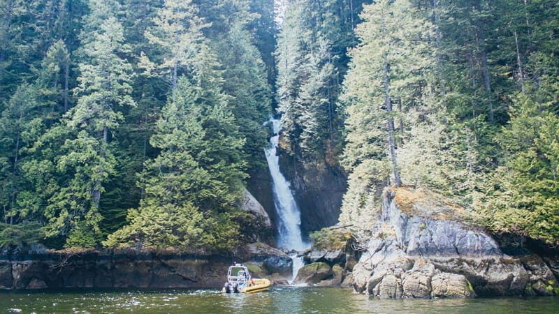 Vancouver: Waterfront Sightseeing Tour - City and Waterfall - Guides and the photo package: why the details matter