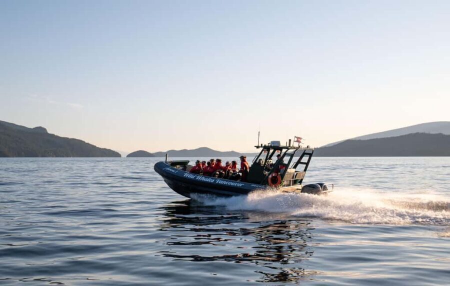 Vancouver: Zodiac Whale Watching Tour from Granville Island - Open-Air Zodiac Comfort: Seats, Suits, and Weather Reality