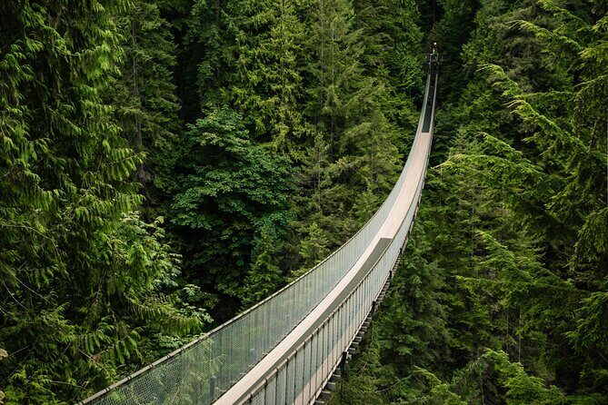 Vancouver's Finest Private Sightseeing Tour - Private Vancouver sightseeing that saves you from transit math