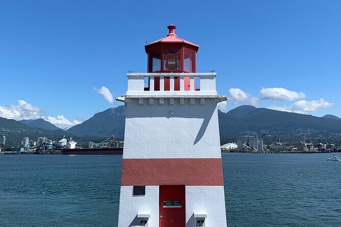 Vancouver's Finest Private Sightseeing Tour - Stanley Park: old-growth trees, Seawall views, and a chance at sea lions