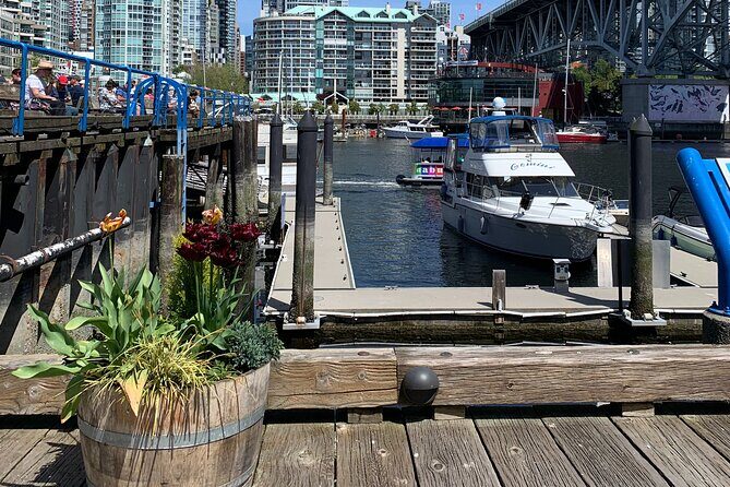 Vancouver's Finest Private Sightseeing Tour - Grouse Mountain: a North Shore mountain stop with seasonal variety