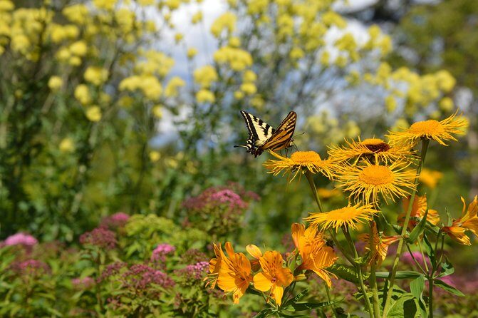 VanDusen Botanical Garden Admission Ticket - Dining on site: two restaurants, but don’t assume they’ll be open