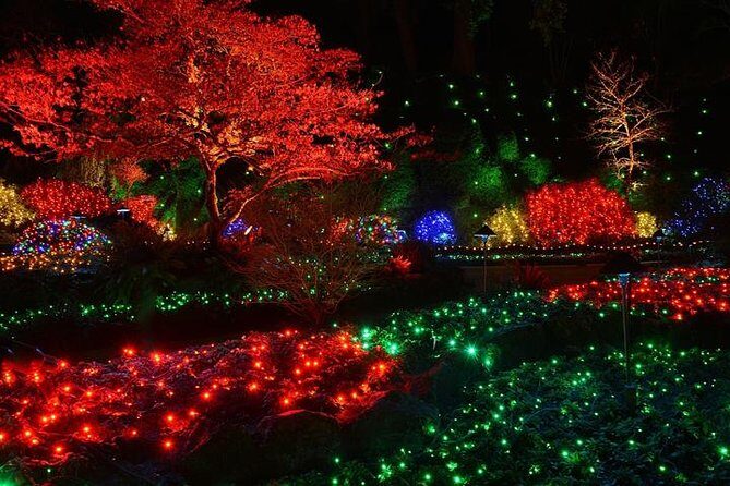 Victoria and Butchart Gardens Christmas Tour - Victoria at night with Christmas lights: Inner Harbour and Government Street time