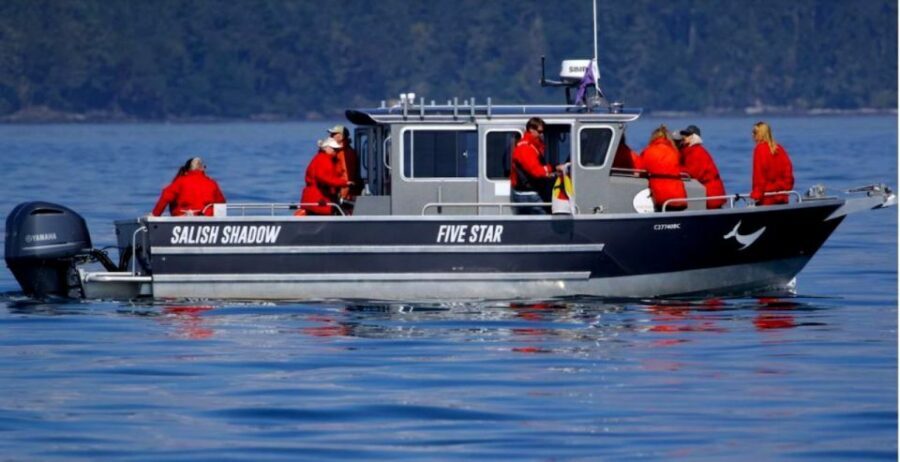 Victoria, BC: 3-Hour Ultimate Whale & Marine Wildlife Tour - Wildlife you’ll watch for: species checklist and behavior clues