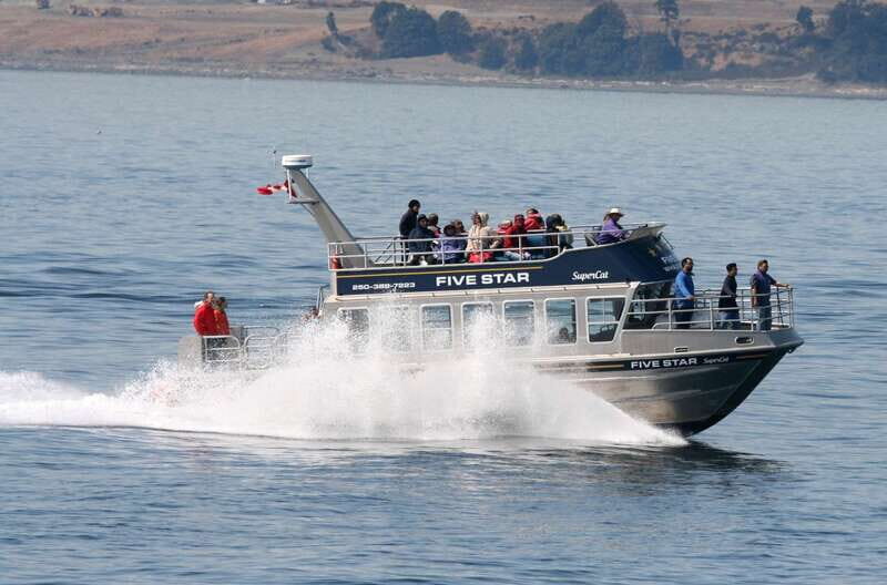 Victoria BC: 3-Hour Whale Watching Expedition - Where You Meet in Victoria: Fairmont Empress Area, Then Out to the Water