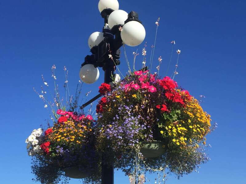 Victoria, BC: City Tour and Butchart Gardens Combo Tour - Butchart Gardens: a self-guided stroll focused on time, paths, and the quarry story