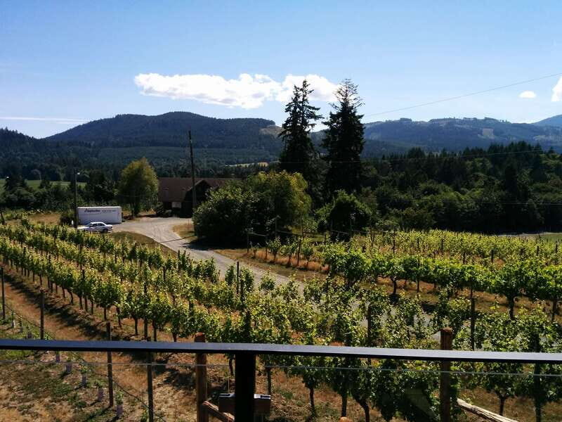 Victoria, BC: Food & Wine Tour to the Cowichan Valley - From Downtown Victoria to the Quiet Back Roads: How the Day Flows