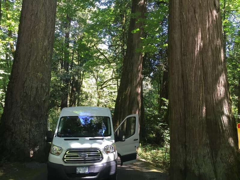 Victoria, BC: Food & Wine Tour to the Cowichan Valley - The Return Ride: Scenic Vistas and a Downtown Drop-Off