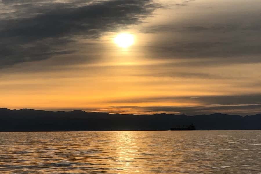 Victoria, BC: Sunset Whale Watching Tour - What whales you’re really hunting for (and what you should watch for)