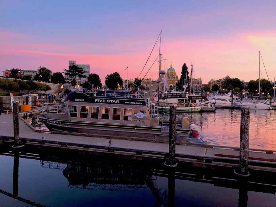 Victoria, BC: Sunset Whale Watching Tour - Comfort and limits: who this boat trip fits well