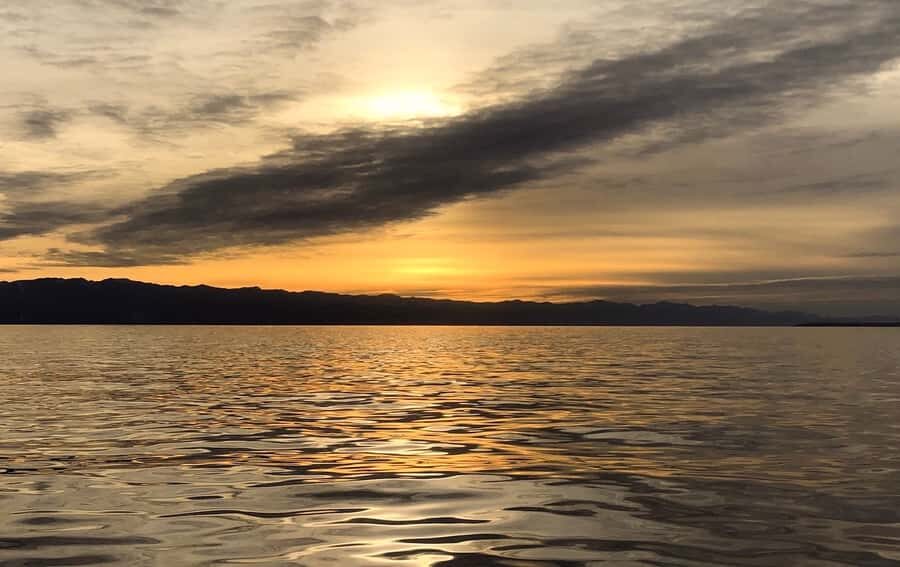 Victoria, BC: Sunset Whale Watching Tour - From 645 Humboldt St to the water: what the start feels like