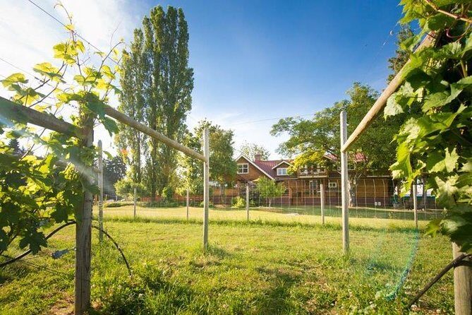 Victoria Boutique Winery Tour - A luxury-suv private tour through Victoria’s tasting country