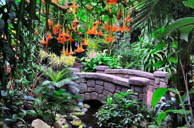 Victoria: Butterfly Gardens Admission Ticket - Key things to know before you go