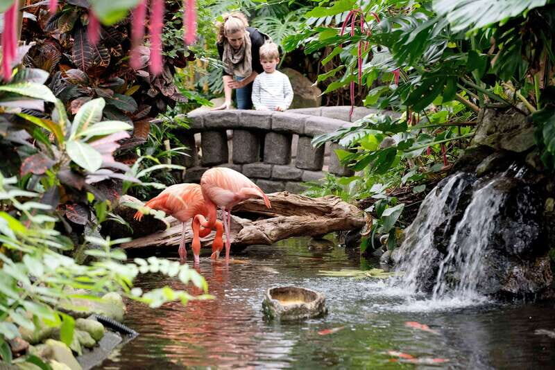 Victoria: Butterfly Gardens Admission Ticket - Victoria Butterfly Gardens: an indoor rainforest stop you can finish in a day