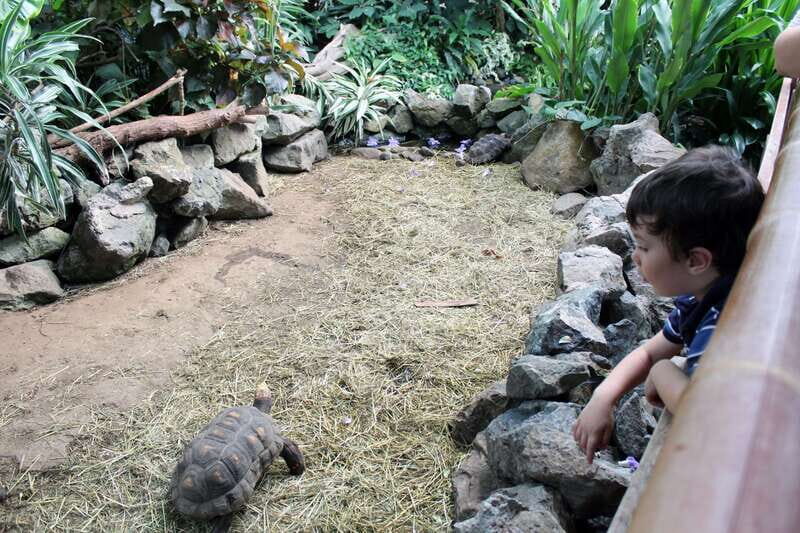 Victoria: Butterfly Gardens Admission Ticket - Ticket value and price: is $15 a good deal?