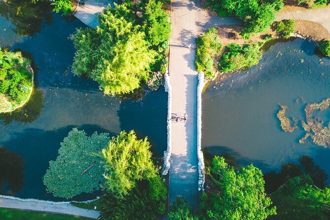 Victoria City Highlights 3 Hour Bike Tour, eBike Upgrade Avail. - Stop-by-stop: Government House, Craigdarroch Castle, and Ross Bay Cemetery