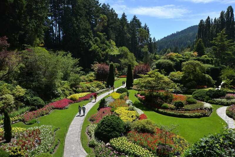 Victoria: City Highlights and Butchart Gardens Tour - Comfort and Practical Logistics: What’s Included (and What Isn’t)
