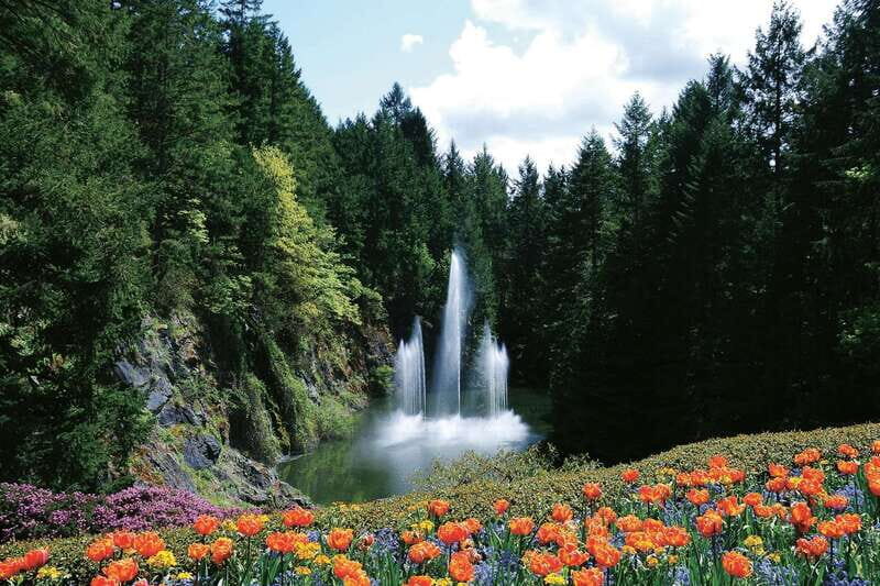Victoria: City Highlights and Butchart Gardens Tour - Getting On Board: The Experience Victoria Store Start