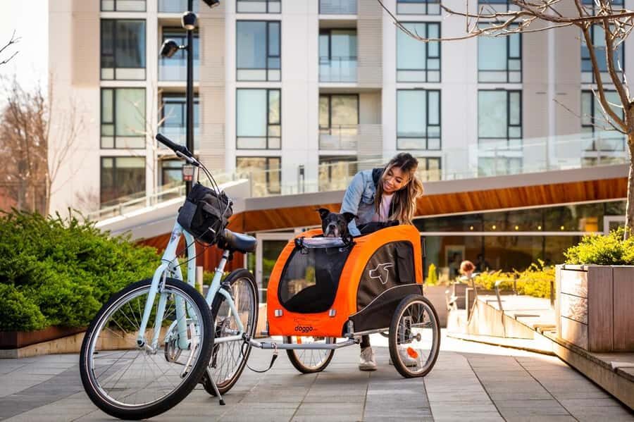 Victoria City Highlights Bike Tour - Castle Hoods & Legends - Price and logistics: why $59 can feel like good value