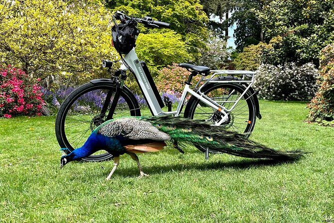 Victoria City Highlights E-Bike Tour - Hoods & Legends - Fernwood Ride: Trendy Neighborhood Energy on Two Wheels