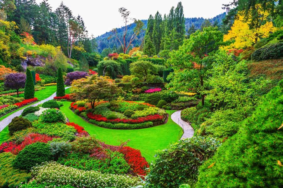 Victoria: Driving Tour w/ Malahat Skywalk & Butchart Gardens - Meeting up, then letting someone else drive