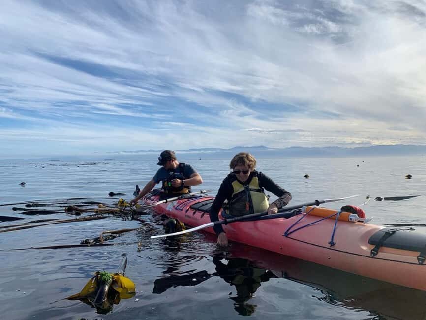 Victoria: Guided Kayak Tour Adventure - Key Things That Make This Kayak Tour Worth It